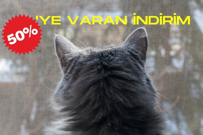 Ankara kedi sinekliği firmamız da montaj ve ölçü hizmeti de verilmektedir. Kedi sinekliği evcil hayvanlarınızı mükemmel koruma altına alan ve aynı zamanda böcek ve sinekten koruyan sistemlerdir.